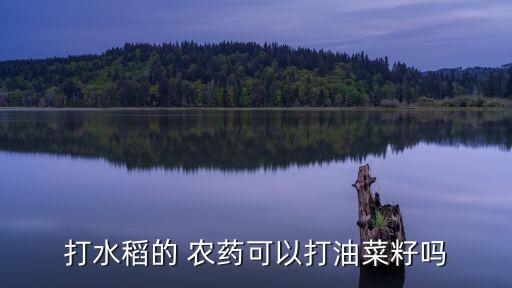 稻冥娥打什么農(nóng)藥