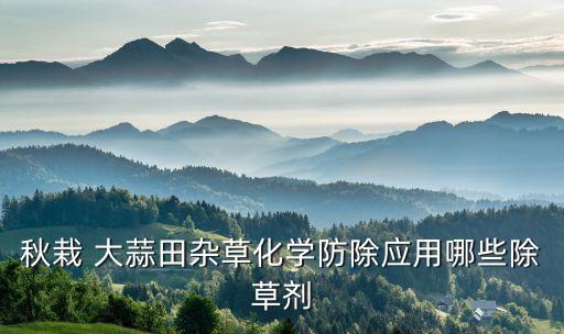 春天大蒜打什么農(nóng)藥,現(xiàn)在大蒜打什么農(nóng)藥好