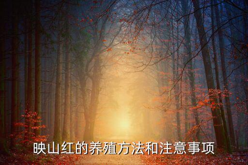 映山紅施什么農(nóng)藥,果子爛了施什么農(nóng)藥