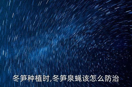 冬筍種植時,冬筍泉蠅該怎么防治