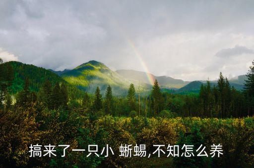 蜥蜴怕什么農藥,蝸牛最怕什么農藥