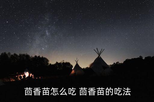 茴香苗怎么吃 茴香苗的吃法