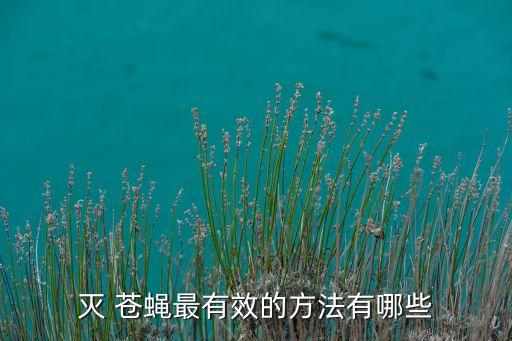 用什么農藥能打死蒼蠅,有什么辦法打死蒼蠅