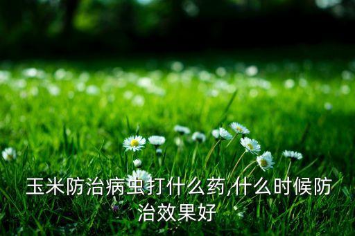 玉米防治病蟲打什么藥,什么時候防治效果好