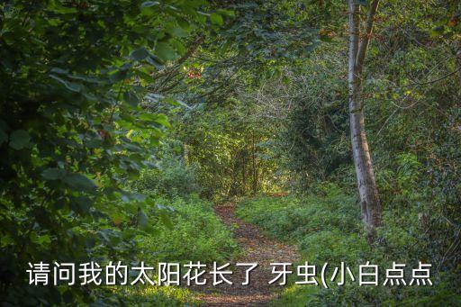 請問我的太陽花長了 牙蟲(小白點點