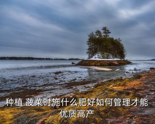 早春菠菜打什么農(nóng)藥好,菠菜對(duì)什么農(nóng)藥過(guò)敏