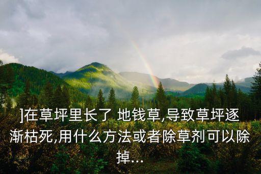 地錢草用什么農藥可以殺死