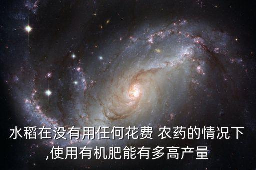 完全不含農(nóng)藥肥料的食物是什么,無(wú)農(nóng)藥是什么肥料