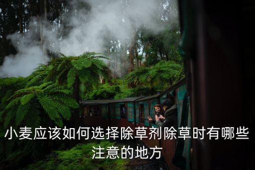 夢見給麥苗打農藥,麥苗用什么農藥