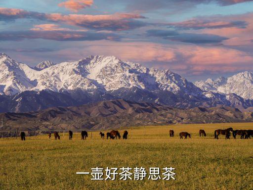一壺好茶靜思茶