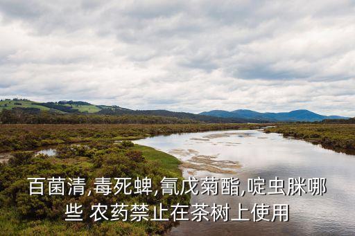 什么花茶不能打農藥,花茶打農藥嗎