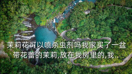 送茉莉花是什么意思,茉莉花的農(nóng)藥是什么