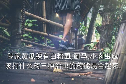 我家黃瓜秧有白粉虱,薊馬,小肉蟲應該打什么藥三種治蟲的藥能混合起來...