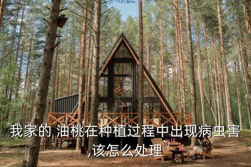 我家的 油桃在種植過程中出現病蟲害,該怎么處理