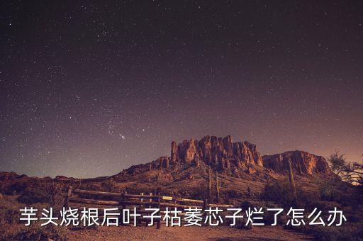 芋頭有線蟲拌種用什么農(nóng)藥