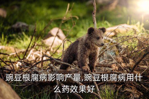 農藥根腐凈用什么藥,爛植物根的有什么農藥