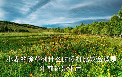 小麥?zhǔn)裁磿r(shí)候需要打農(nóng)藥