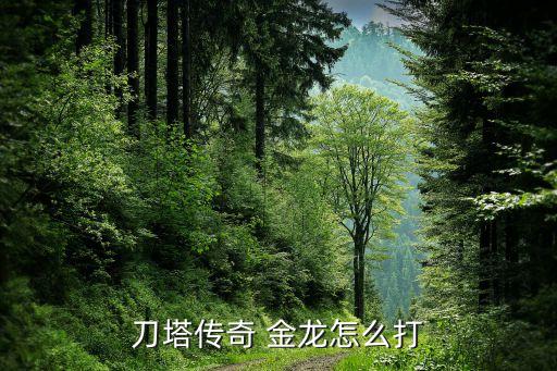 刀塔傳奇 金龍怎么打
