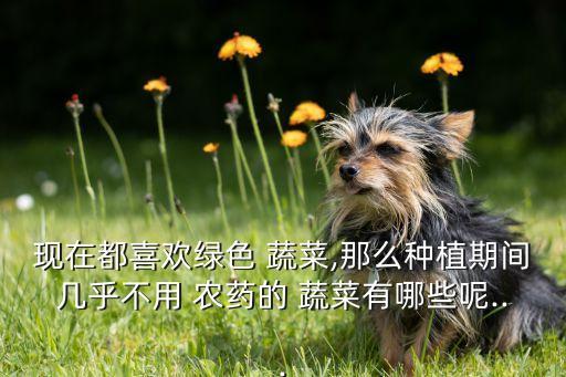 什么蔬菜不打農藥不打激素,蔬菜打農藥什么時間好