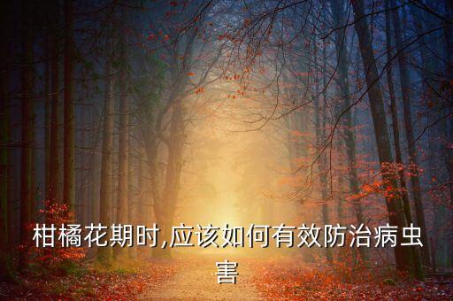 柑橘花期時(shí),應(yīng)該如何有效防治病蟲害