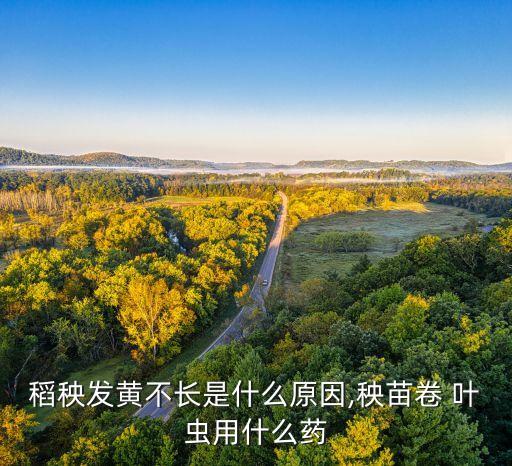 水稻有卷葉蟲噴什么農藥,水稻卷葉蟲噴什么農藥?