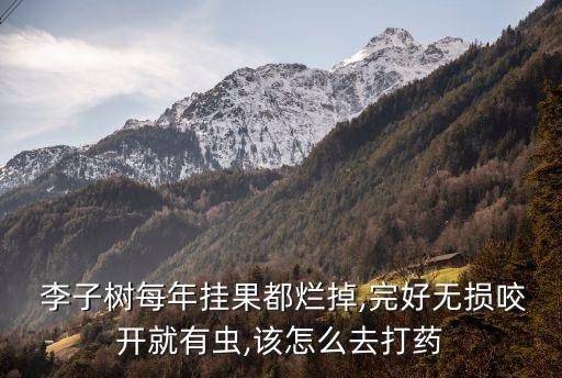 李子樹使用什么農藥最好,給李子樹打農藥什么時間打最好