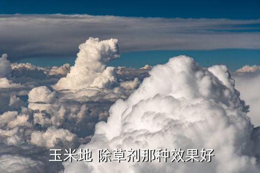 玉米地 除草劑那種效果好