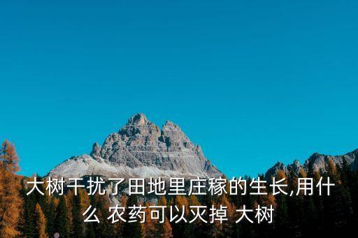 大樹用什么打農藥最好,冬天殺死大樹的最好最快的農藥