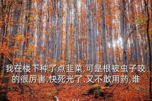 農(nóng)藥3911叫什么,3911農(nóng)藥圖片