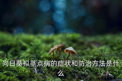 向日葵擬莖點(diǎn)病的癥狀和防治方法是什么