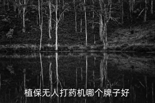 用什么機器打農藥好點兒,噴灑農藥的機器叫什么