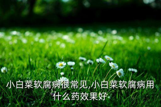 蔬菜爛了用什么農(nóng)藥殺菌,什么農(nóng)藥殺菌效果最好