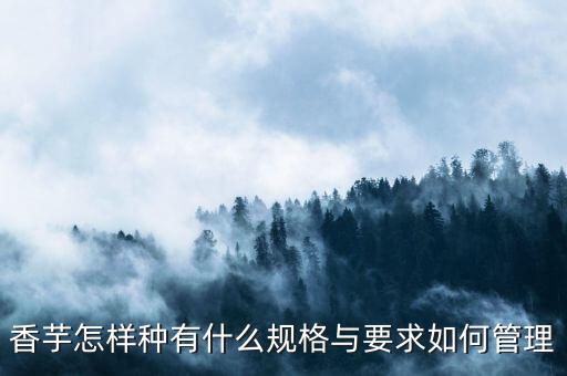 香芋怎樣種有什么規格與要求如何管理