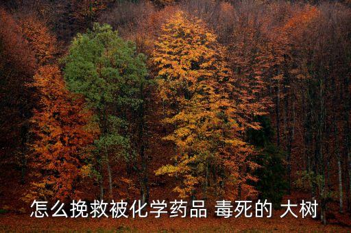 毒死大樹用什么農藥,什么農藥可以毒死大樹我們?