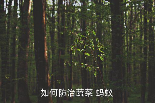 傳殺螞蟻農藥什么藥,果園殺螞蟻最有效的農藥