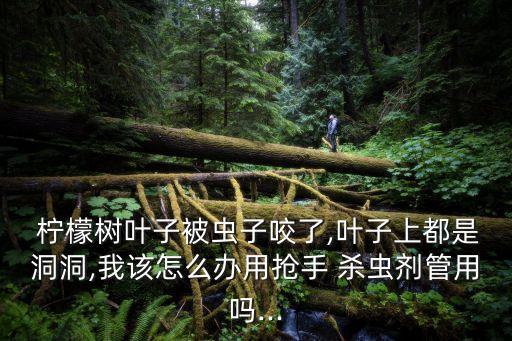 檸檬樹用什么農藥殺蟲,什么農藥殺蟲效果好期又長