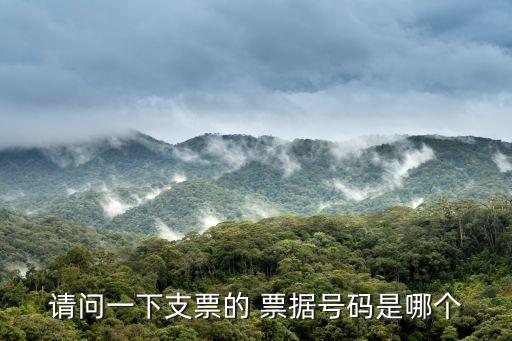 農藥票據號指的是什么,票據的連續性指的是什么