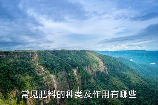 用于生產(chǎn)化肥和農(nóng)藥是什么,生產(chǎn)化肥的主要原料是什么