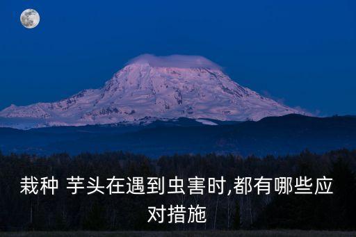 芋頭用什么農藥最好,芋頭和什么食物搭配最好