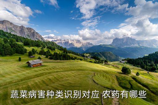 蔬菜病害種類識(shí)別對(duì)應(yīng) 農(nóng)藥有哪些