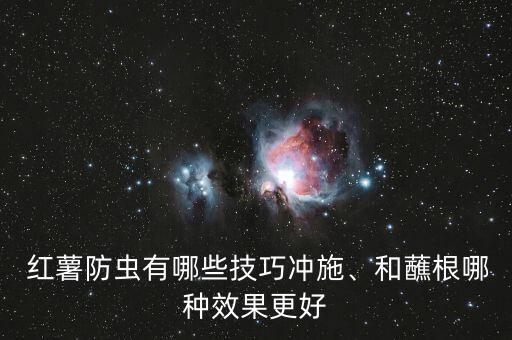 紅薯防蟲有哪些技巧沖施、和蘸根哪種效果更好