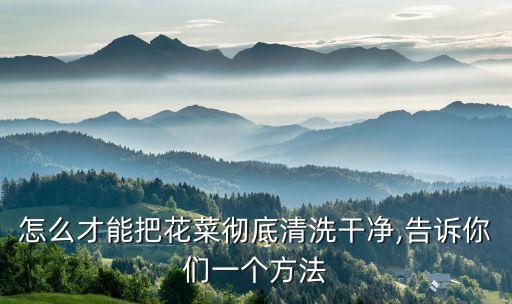 白花菜用什么農藥,野生白花菜有什么作用