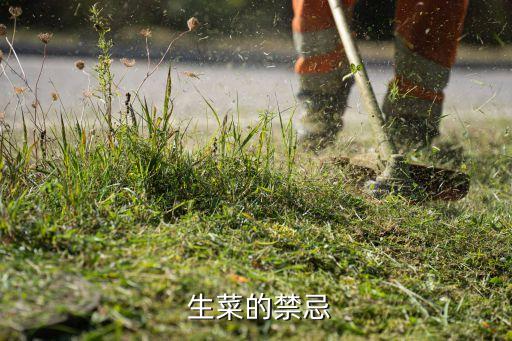 生菜為什么不能打農(nóng)藥