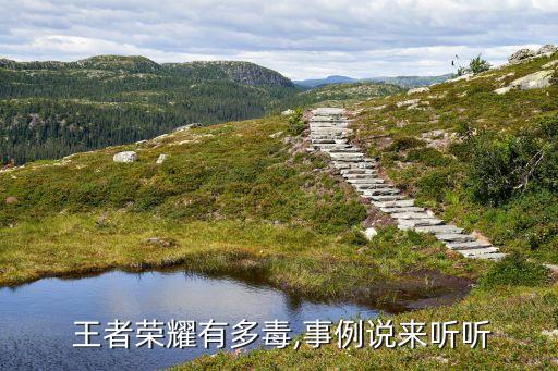  王者榮耀有多毒,事例說來聽聽