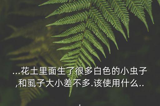 茶花用什么農藥殺蟲效果好,低溫殺蟲效果好的有哪些農藥