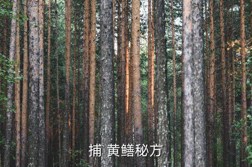 捉黃鱔最好用什么農藥,釣黃鱔什么時間最好釣