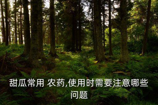 甜瓜常用 農(nóng)藥,使用時需要注意哪些問題