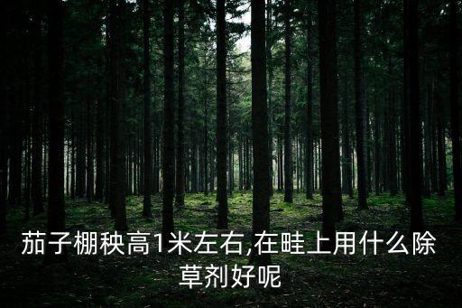 茄子棚秧高1米左右,在畦上用什么除草劑好呢