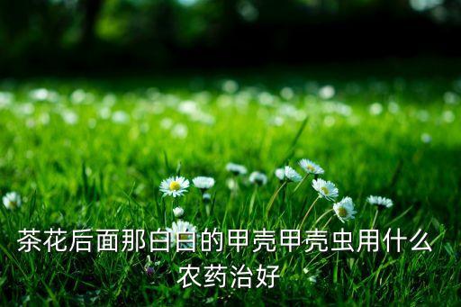 ,用什么農藥能殺金甲蟲