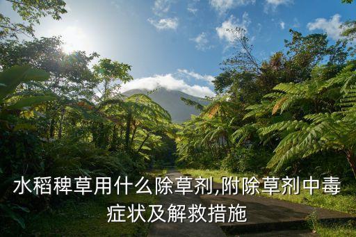 什么農藥可以解乙草胺,乙草胺屬于什么農藥